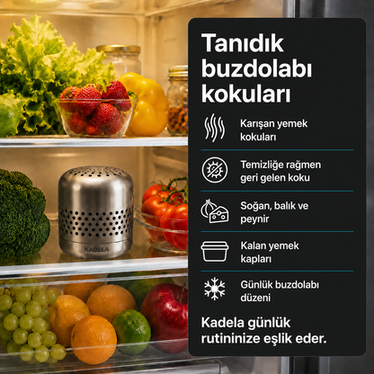 Kadela Buzdolabı Koku Giderici