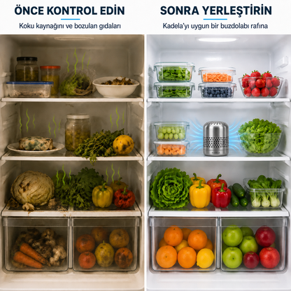 Kadela Buzdolabı Koku Giderici