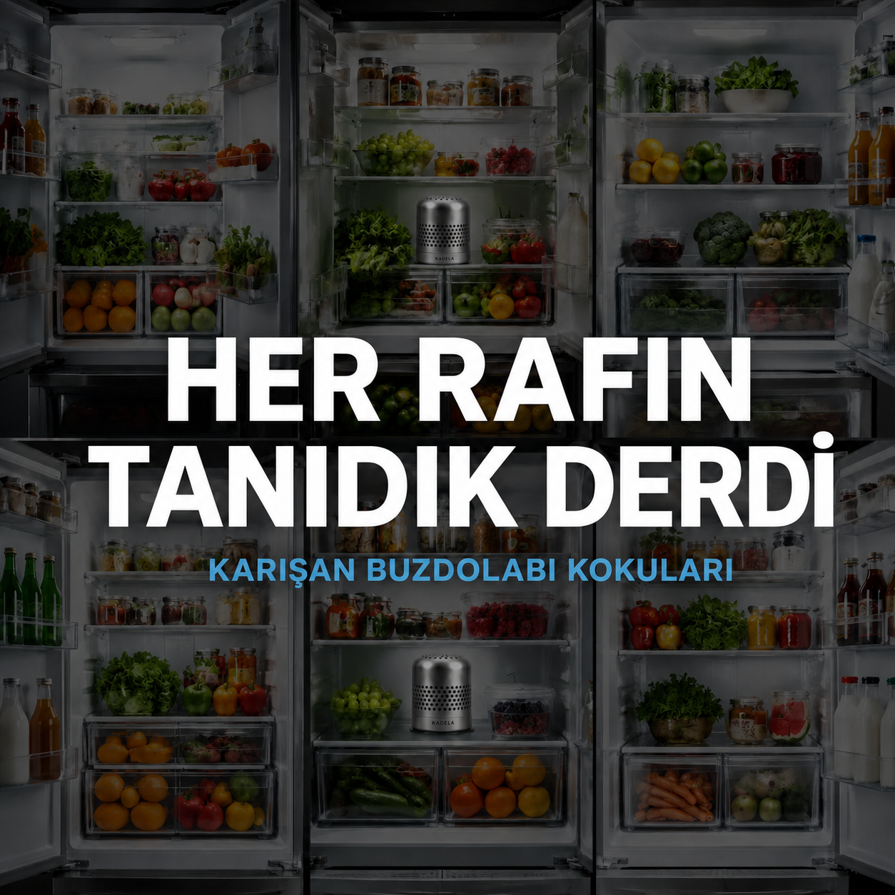 Kadela Buzdolabı Koku Giderici